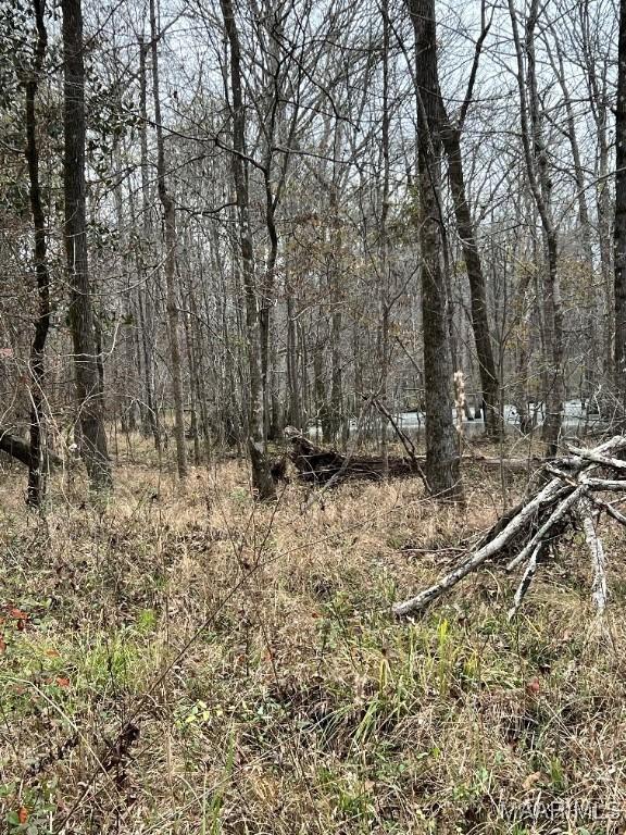00 Coon Hop Rd, Hardaway, AL 36039 - photo 14