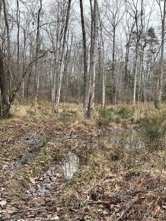 00 Coon Hop Rd, Hardaway, AL 36039 - photo 15