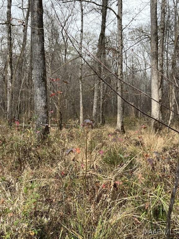00 Coon Hop Rd, Hardaway, AL 36039 - photo 16