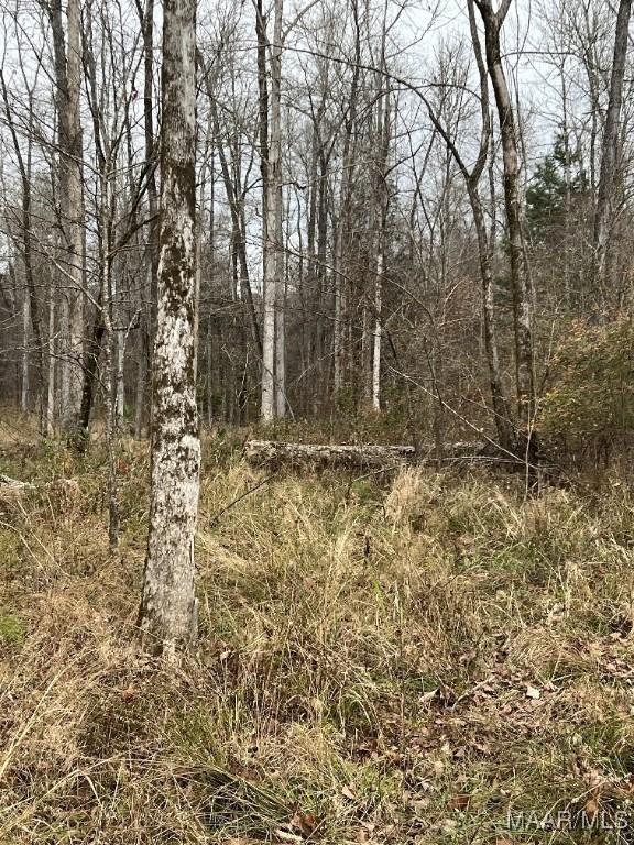 00 Coon Hop Rd, Hardaway, AL 36039 - photo 17