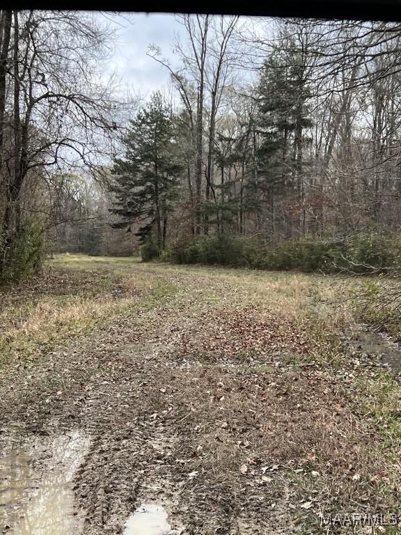 00 Coon Hop Rd, Hardaway, AL 36039 - photo 18