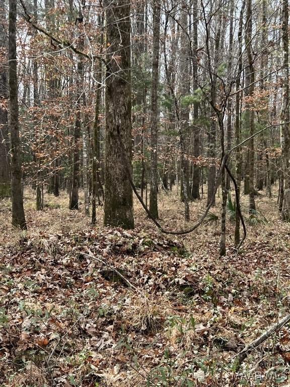 00 Coon Hop Rd, Hardaway, AL 36039 - photo 19