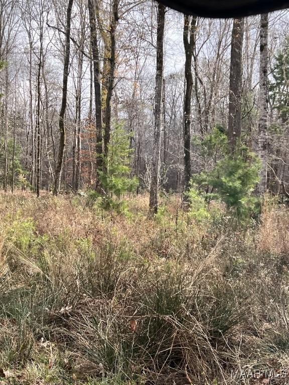 00 Coon Hop Rd, Hardaway, AL 36039 - photo 20