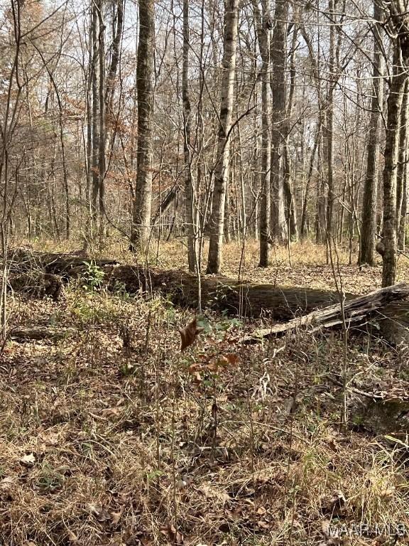 00 Coon Hop Rd, Hardaway, AL 36039 - photo 21