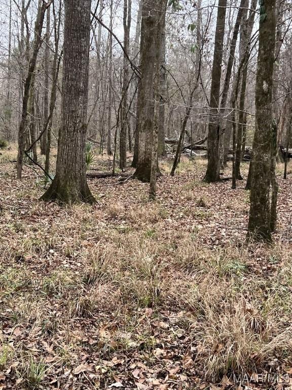 00 Coon Hop Rd, Hardaway, AL 36039 - photo 23