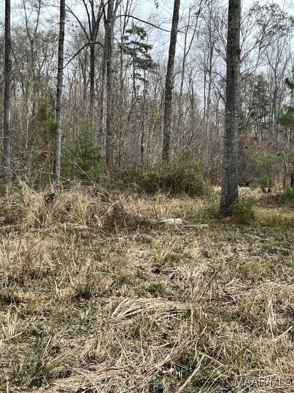 00 Coon Hop Rd, Hardaway, AL 36039 - photo 24