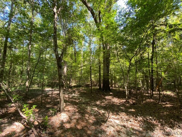 00 Coon Hop Rd, Hardaway, AL 36039 - photo 26