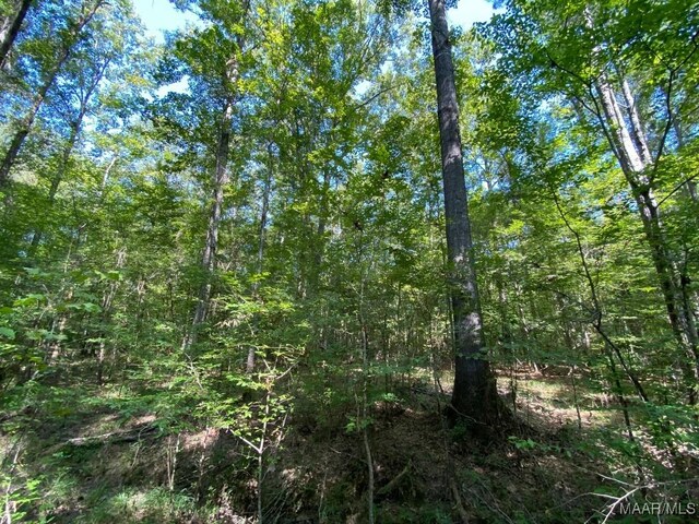 00 Coon Hop Rd, Hardaway, AL 36039 - photo 27