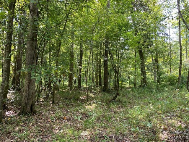 00 Coon Hop Rd, Hardaway, AL 36039 - photo 28