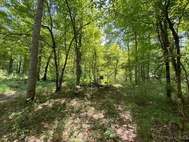 00 Coon Hop Rd, Hardaway, AL 36039 - photo 29