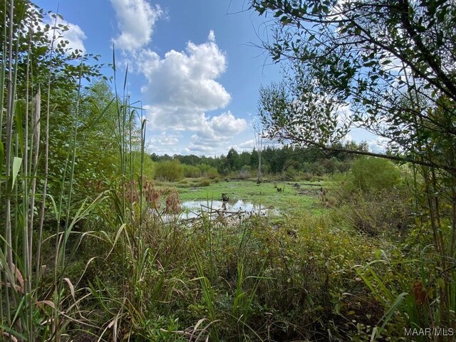 00 Coon Hop Rd, Hardaway, AL 36039 - photo 30