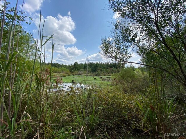 00 Coon Hop Rd, Hardaway, AL 36039 - photo 31