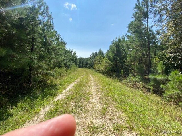 00 Coon Hop Rd, Hardaway, AL 36039 - photo 32