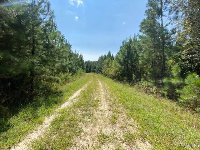 00 Coon Hop Rd, Hardaway, AL 36039 - photo 33