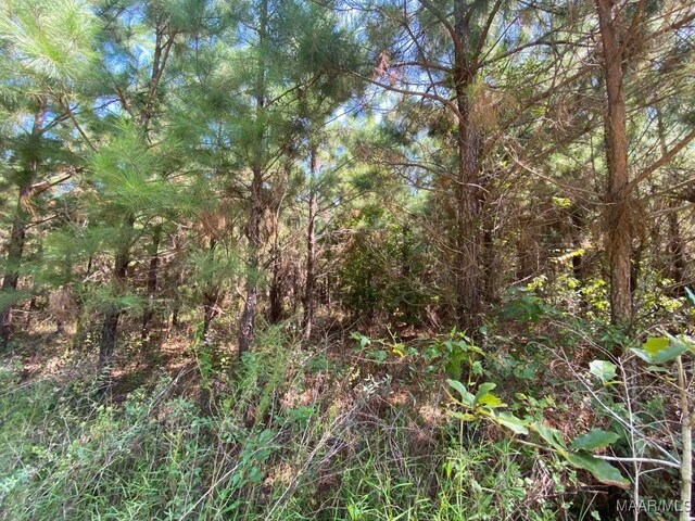 00 Coon Hop Rd, Hardaway, AL 36039 - photo 34