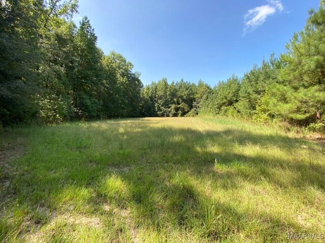 00 Coon Hop Rd, Hardaway, AL 36039 - photo 35