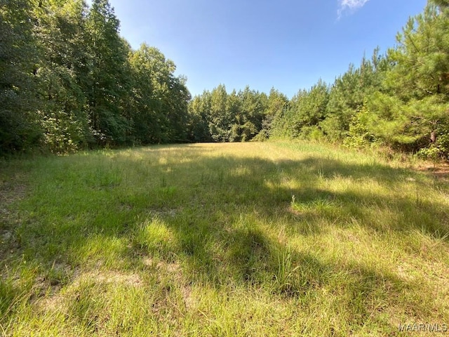 00 Coon Hop Rd, Hardaway, AL 36039 - photo 36