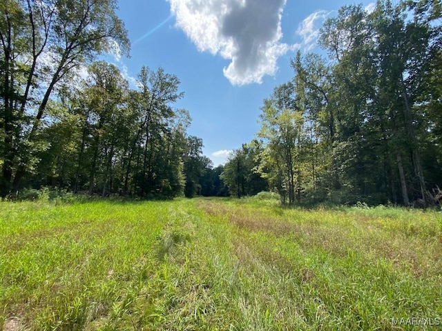 00 Coon Hop Rd, Hardaway, AL 36039 - photo 38