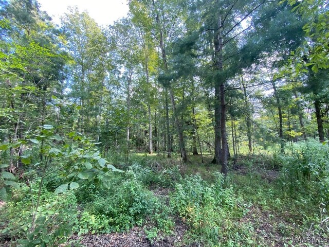 00 Coon Hop Rd, Hardaway, AL 36039 - photo 39