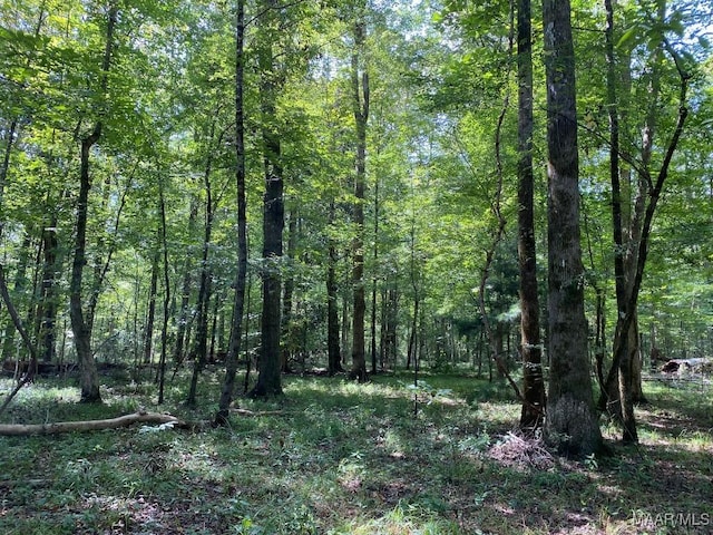 00 Coon Hop Rd, Hardaway, AL 36039 - photo 40