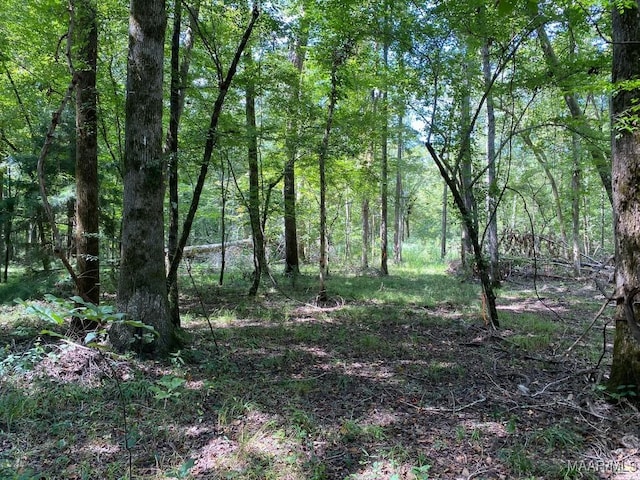 00 Coon Hop Rd, Hardaway, AL 36039 - photo 41