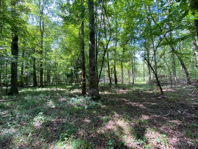 00 Coon Hop Rd, Hardaway, AL 36039 - photo 42