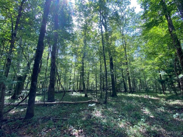 00 Coon Hop Rd, Hardaway, AL 36039 - photo 44
