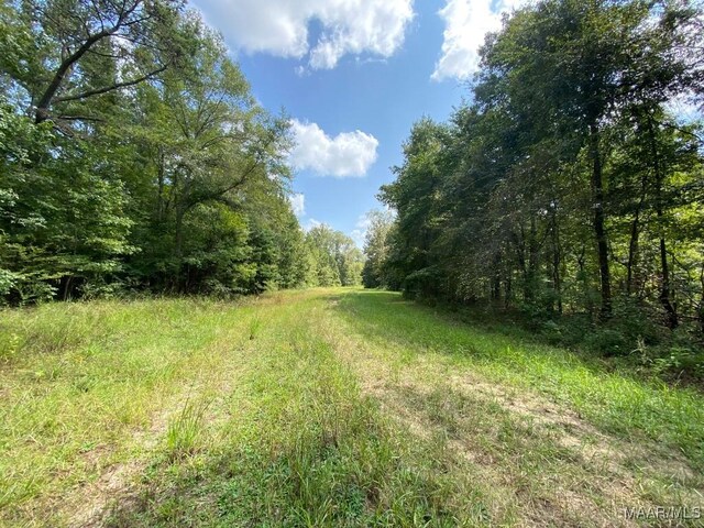 00 Coon Hop Rd, Hardaway, AL 36039 - photo 46