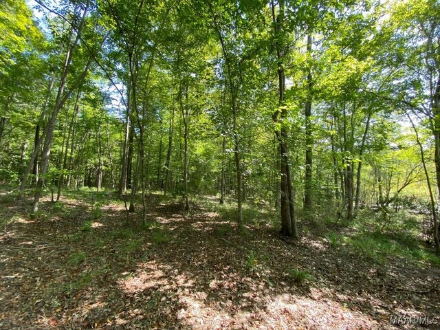 00 Coon Hop Rd, Hardaway, AL 36039 - photo 47