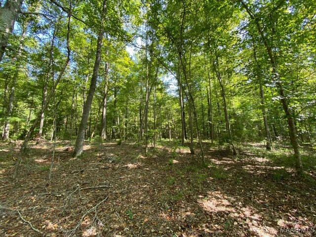 00 Coon Hop Rd, Hardaway, AL 36039 - photo 48
