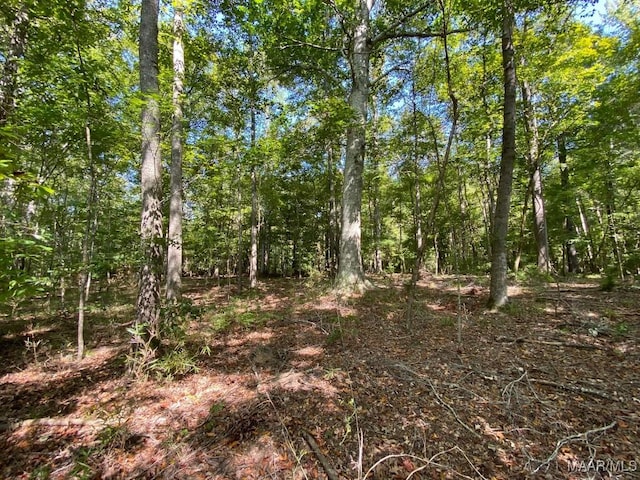 00 Coon Hop Rd, Hardaway, AL 36039 - photo 49