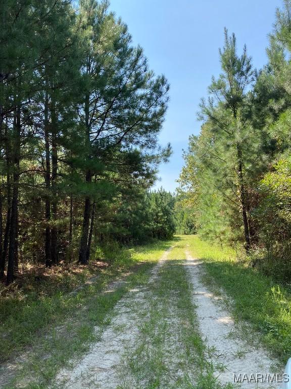 00 Coon Hop Rd, Hardaway, AL 36039 - photo 50
