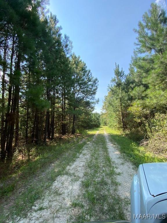 00 Coon Hop Rd, Hardaway, AL 36039 - photo 51