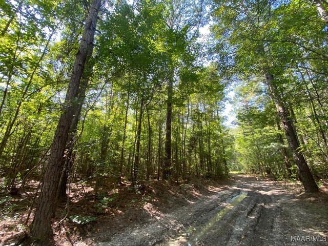 00 Coon Hop Rd, Hardaway, AL 36039 - photo 52