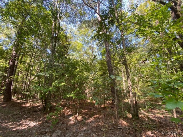 00 Coon Hop Rd, Hardaway, AL 36039 - photo 53