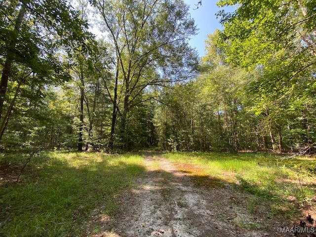 00 Coon Hop Rd, Hardaway, AL 36039 - photo 54