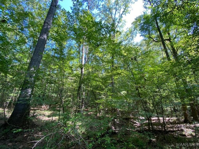 00 Coon Hop Rd, Hardaway, AL 36039 - photo 55