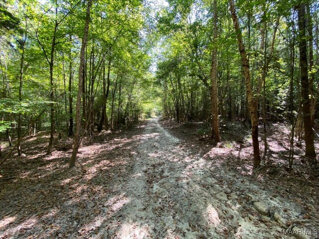 00 Coon Hop Rd, Hardaway, AL 36039 - photo 56