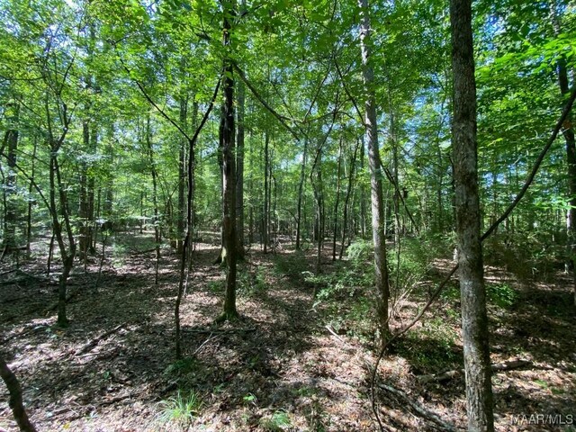 00 Coon Hop Rd, Hardaway, AL 36039 - photo 57
