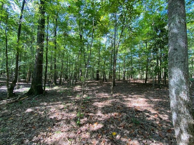 00 Coon Hop Rd, Hardaway, AL 36039 - photo 59