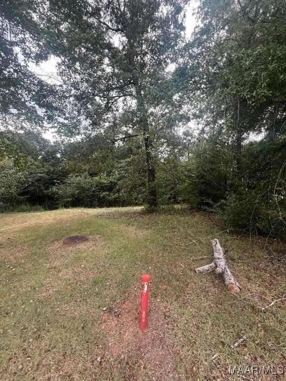 0 Judson Ct, Prattville, AL 36067 - photo 3
