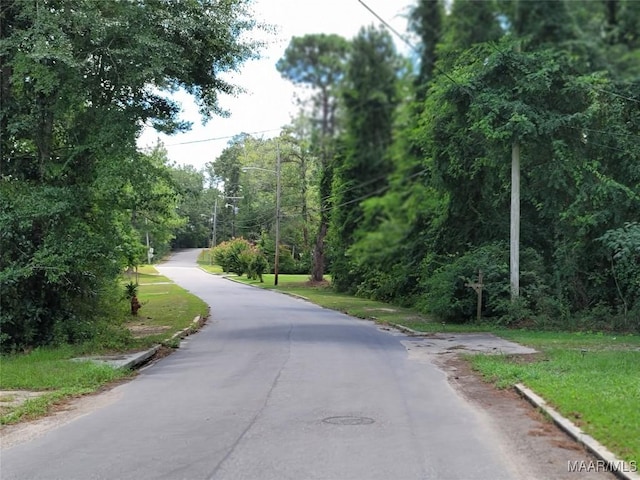 view of asphalt street with street lighting and a forest view