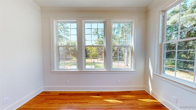 spare room with baseboards, a wealth of natural light, and light wood-style flooring