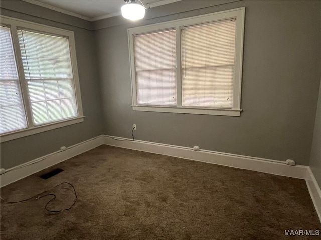 spare room featuring ornamental molding and carpet flooring