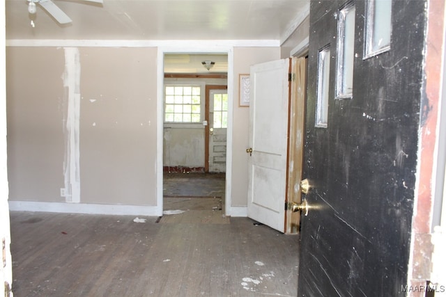 empty room with hardwood / wood-style floors and ceiling fan