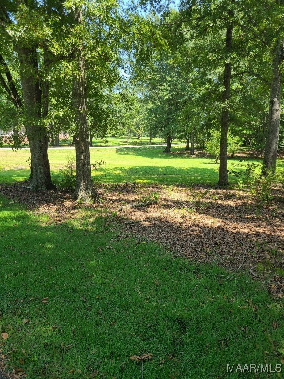 450 3rd St, Thorsby, AL 35171