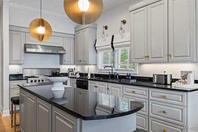 kitchen with crown molding, range hood, a kitchen island, and a sink