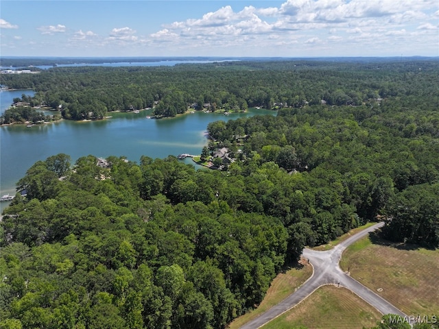 drone / aerial view with a water view and a view of trees