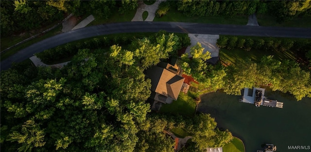 1130 Trillium W Pkwy, Eclectic, AL 36024 - photo 3