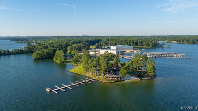 1130 Trillium W Pkwy, Eclectic, AL 36024 - photo 69